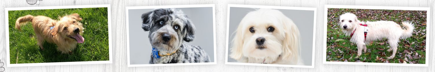 Kein NFC-fähiges Smartphone? Kein Problem mit unserem QR Code!